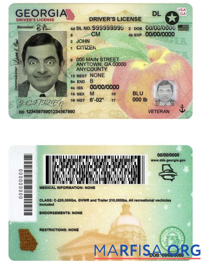 Realistic USA Georgia DL (2019 present) example